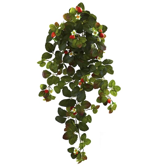 Michaels, 31” Strawberry Hanging Bush, 2ct. – Category: Potted Plants